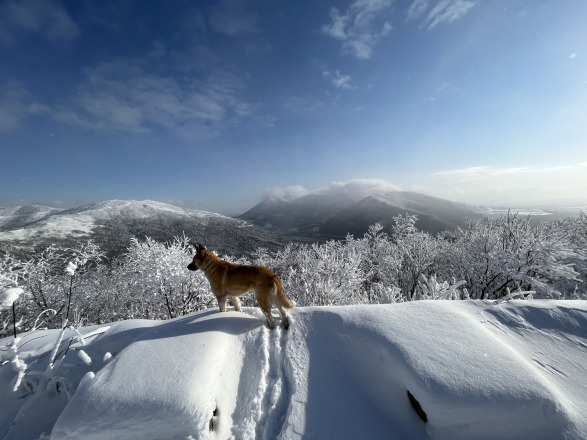 Гора Московская